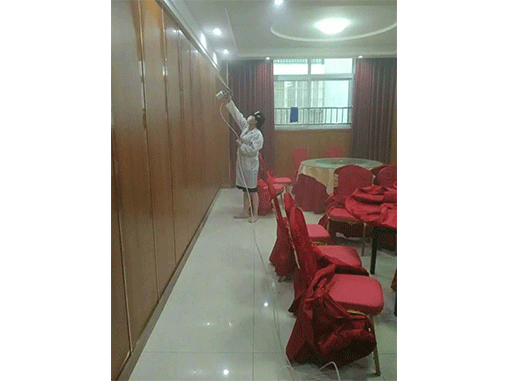 南陽除甲醛|去甲醛用什么方法好，怎么快速除甲醛？ 
